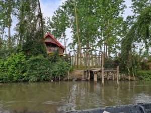 کلبه چوبی در جزیره اختصاصی تالاب انزلی | اقامت ۶ نفره با اسکله ماهیگیری